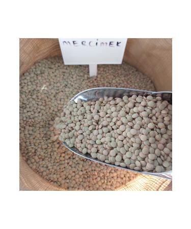 irfan legumes Green Lentil Net 10 Kg