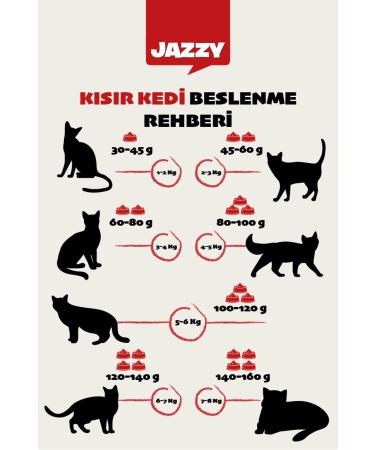 JAZZY General Cat Neutered Cat Food Salmon 12 Kg - Buy Online on GoSupps.com
