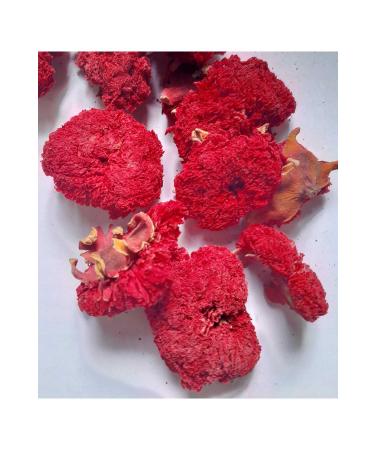 ZENNUP1844 Hot Pepper Jam 290gr