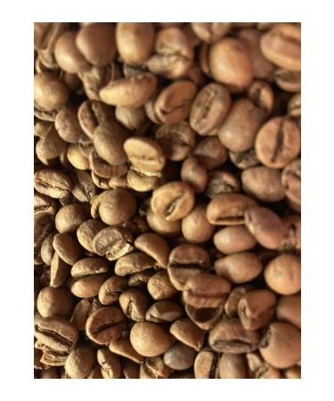 Proline Fish Adult Cat Food 3x1.5 Kg.