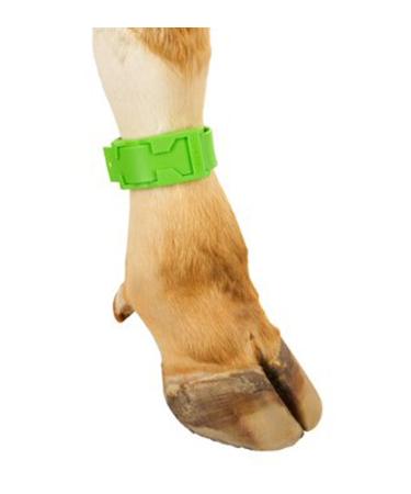 KERBL Foot Strap Plastic Green -