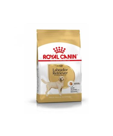 Royal Canin Labrador Retriever Adult Dog Food 12 Kg - Farmapets