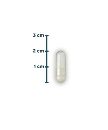 Natures Supreme Lactase Enzyme 100 Capsules 8681763380107 - Buy Online on GoSupps.com