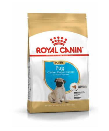 Royal Canin Pug Breed Junior Puppy Food 1.5 kg - Buy Online on GoSupps.com