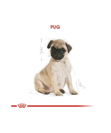 Royal Canin Pug Breed Junior Puppy Food 1.5 kg - Buy Online on GoSupps.com