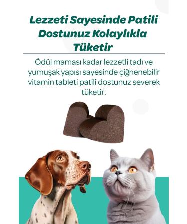 Vet's Plus Dental Chewable Tablets 60's (CATS AND DOGS CHINESE DENTAL CARE) - Buy Online on GoSupps.com