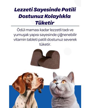 Vet's Plus Hip&joint Chewable Tablet 60's (JOINT SUPPORT FOR CATS AND DOGS) - Buy Online on GoSupps.com