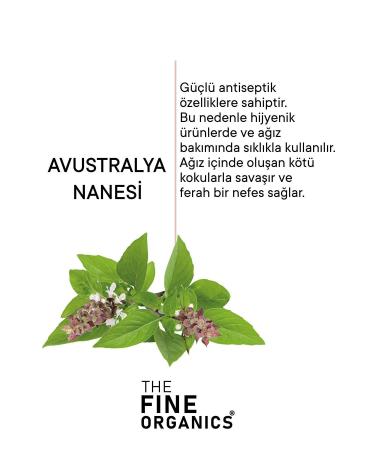 THE FINE ORGANICS Australian Mint Extract Whitening Activated Charcoal Toothpaste 75ml - Buy Online on GoSupps.com