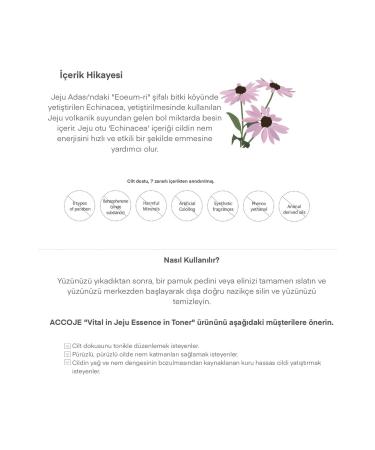 ACCOJE Jeju Toner - Revitalizing Toner with Jeju Essences from Korea - Buy Online on GoSupps.com