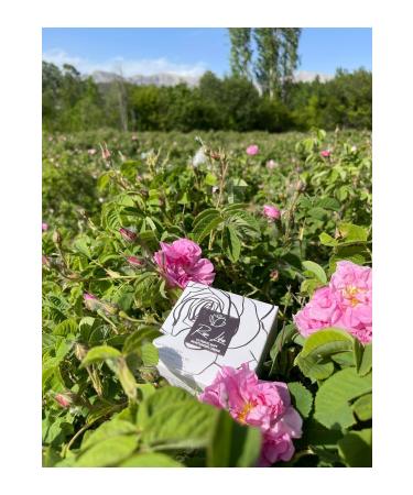 Himalaya Since 1930 Vitamin C Brightening Orange Facial Cleanser 100ml All Skin Types Paraben/SLS/SLES Free