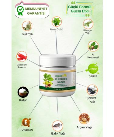 asse 5.3 Light Dore Chestnut - 60ml Tube Paint - Buy Online on GoSupps.com