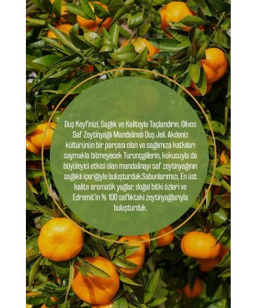 Tex PEXUS NETTLE & LAUREL EXTRACT HERBAL CONTENT SHAMPOO 400ML - Buy Online on GoSupps.com