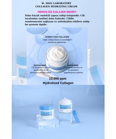 W. Skin Laboratory Collagen Hydrating Cream Intensive Moisturizing Nourishing Anti-Wrinkle and Brightening Cream 80ml - Buy Online on GoSupps.com