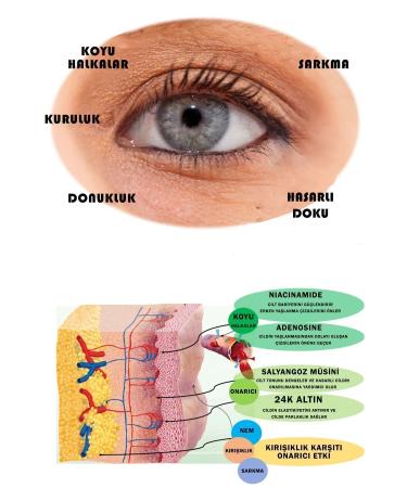 Skin Republic Pore Tightening Face Mask - Buy Online on GoSupps.com