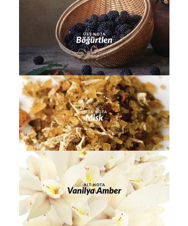 Avon Attraction Women's Body Lotion 125 Ml. - Buy Online on GoSupps.com