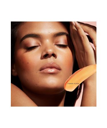 Hill's Prescription Diet Urinary Care C/d Multicare Chicken Cat Dry Food 3 Kg (STT:09/2025)