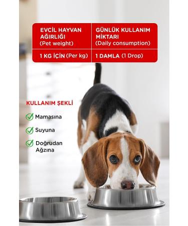Hill's SCIENCE PLAN Salmon Sterilized Adult Cat Food 8+2 Kg - Buy Online on GoSupps.com