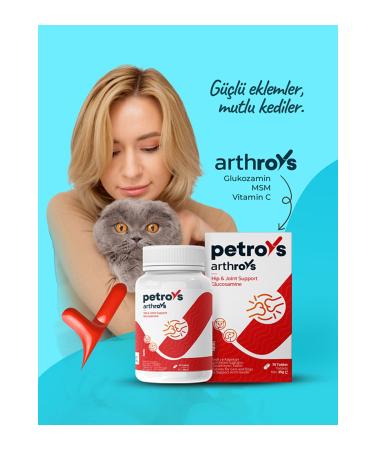 Royal Canin Mini Adult Canned Dog Food 12 X 85 gr - Buy Online on GoSupps.com