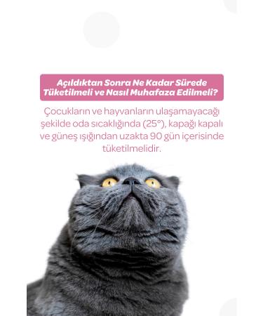 Vet's Plus Kitten Malt Paste 100gr (MULTIVITAMIN FOR MOTHER AND KITTENS) - Buy Online on GoSupps.com