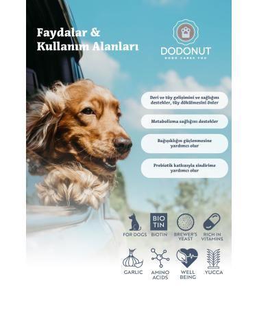 Royal Canin Mini Adult Small Breed Dog Food 2 Kg - Buy Online on GoSupps.com