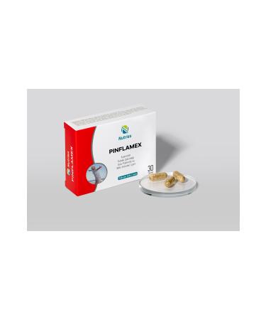 PRO STAR Chicken Kitten Food 1200gr