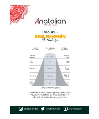 Bork Swiss Natural 4-Set Collagen Beauty Complex 60x20ml Collagen Stick Shot 60 Type I-II-III Biotin-Magnesium-B12 - Buy Online on GoSupps.com