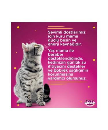 Ocean Coenzyme Q10 B12 Vitamin C