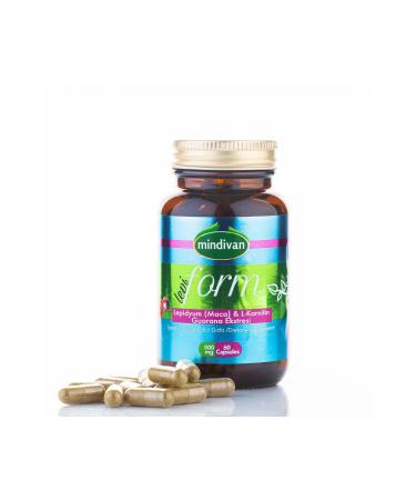 Mercy Adult Cat Food with Salmon 10 Kg - Buy Online on GoSupps.com