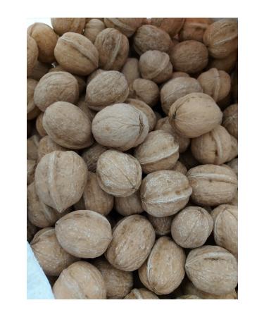 Antep Bazaar Raw Pumpkin Seeds | 250 Gr.