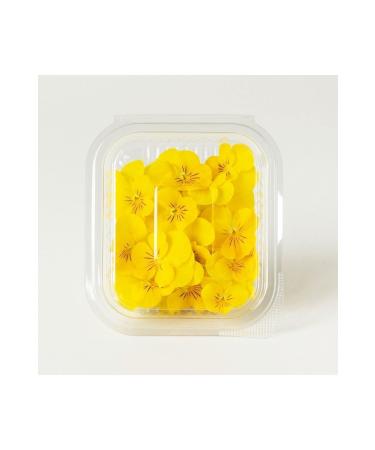 Vitanil's Nutrition Halal Certified 5-Pack Liquid Collagen - Collagen Shot Exotic Mix - Mixed Flavored