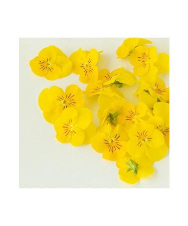 Vitanil's Nutrition Halal Certified 5-Pack Liquid Collagen - Collagen Shot Exotic Mix - Mixed Flavored - Buy Online on GoSupps.com