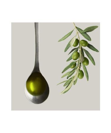 Z ber Peanutzilla Cocoa Peanut Cream + Nutzilla Hazelnut Cream - Buy Online on GoSupps.com