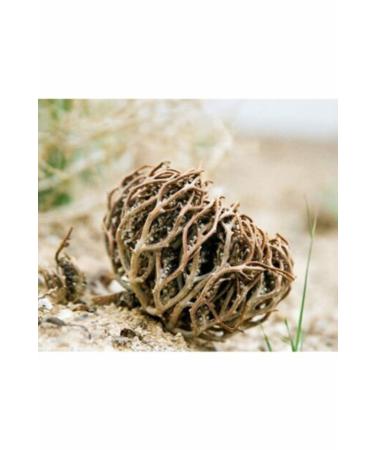 DATCA BIRLIK PINEAPPLE MANGO VINEGAR NATURAL FERMENTATION 500 ML. - Buy Online on GoSupps.com