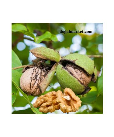 Doala Vitex Liquid Extract Mix 225 ml - Buy Online on GoSupps.com