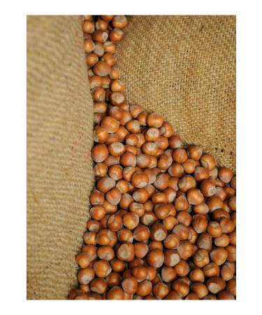 Handmade 0 Handmade 150 Gr Date Tahini Fit Snack