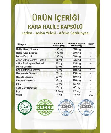 Sanitas North Aegean Natural Extra Virgin Olive Oil 3 L - Buy Online on GoSupps.com