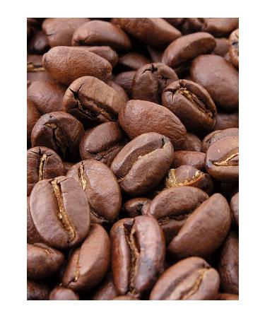 Kellogg's No Sugar Added Granola Pack Cranberry Pumpkin Seeds & Cashews & Dates & Almonds - Buy Online on GoSupps.com