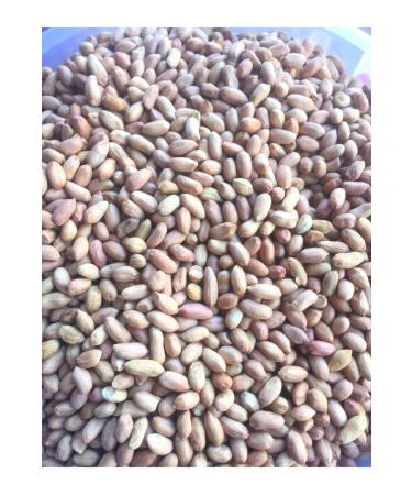 QU Spicy and Sweet Tuna 24X160GR - Buy Online on GoSupps.com