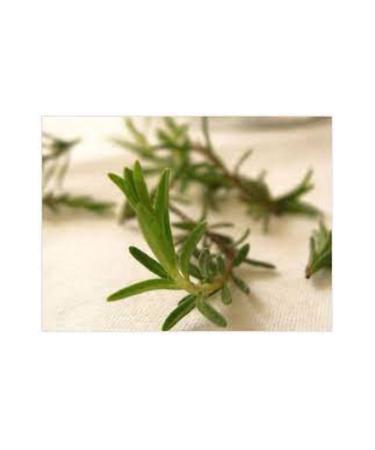 NATURE'S BLESSING ZAHTER WILD THYME - MOUNTAIN THYME ORGANIC 500 GR - Buy Online on GoSupps.com
