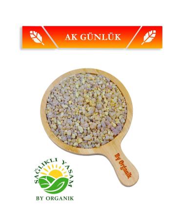 NLife Slimtime Coffee 2 Months Usage 2x150 Gr - Buy Online on GoSupps.com