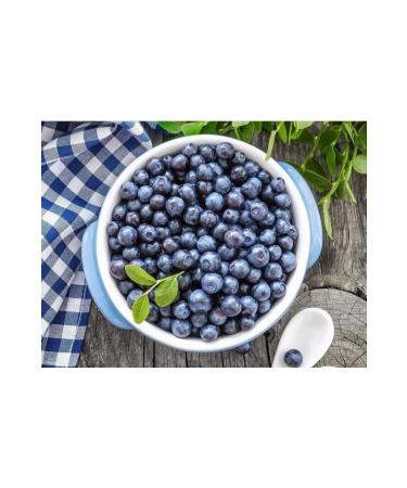 Jacobs Monarch Filter Coffee 500 gr