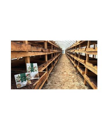 Brownberry Nicaragua Shb Ep Aaa Arabica Roasted Coffee 1 Kg
