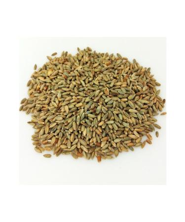 Gelincik Breakfast Spreadable Natural Additive-Free 10kg Special Production Cocoa Hazelnut Cream - Buy Online on GoSupps.com