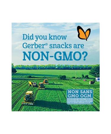 Gerber MultiGrain Apples & Oranges- Multigrain- Apple and Orange Spoon Food 227 Gr- From 12 months - Buy Online on GoSupps.com