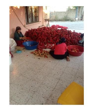 Lezzetsoka Homemade Mixed Paste Tomato-Hot Sweet Pepper 5 Kg - Buy Online on GoSupps.com