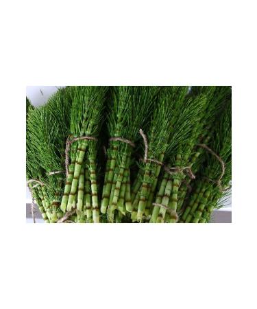 DAYE HATUN Horsetail & Nettle Vinegar (natural Fermented Live Vinegar/500 Ml) - Buy Online on GoSupps.com