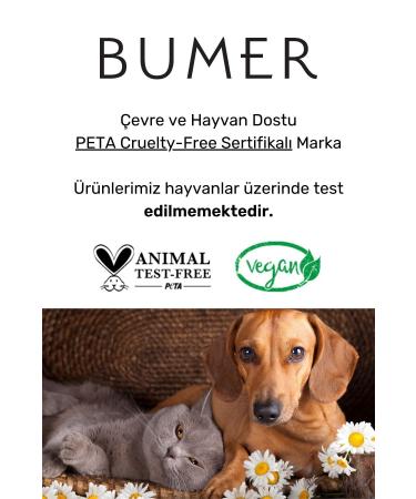 NIVEA Creme 150ml Caring Protection Long-Term Intensive Moisturizer Hand Face and Body Soft Skin Feeling - Buy Online on GoSupps.com