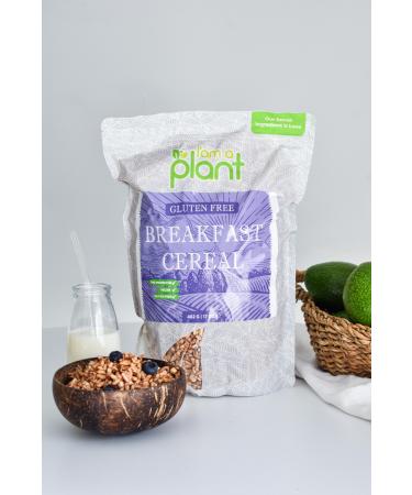 I am a plant Gluten-free Cocoa Rice Crisps Healthy Snack 482 gr - Buy Online on GoSupps.com