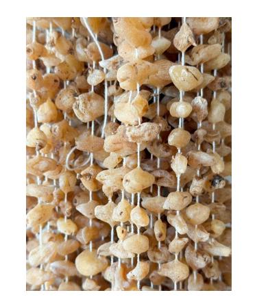 ATILGAN 600 gr Clear Glass Jar Tahini