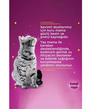 Whiskas Chicken 85 Gr 24X